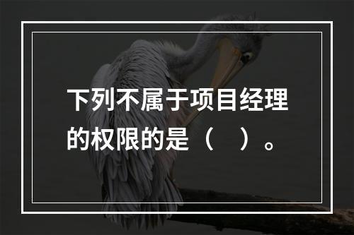 下列不属于项目经理的权限的是（　）。