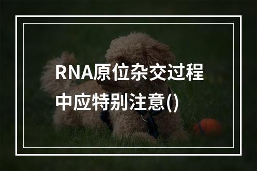 RNA原位杂交过程中应特别注意()