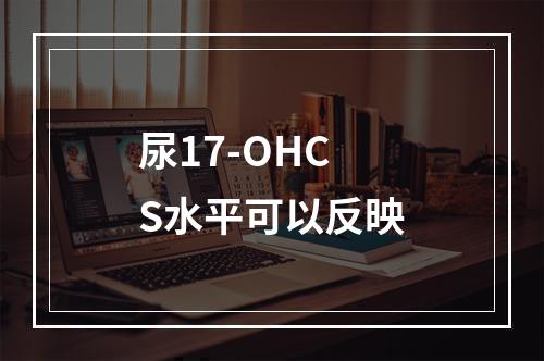 尿17-OHCS水平可以反映