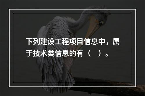 下列建设工程项目信息中，属于技术类信息的有（　）。