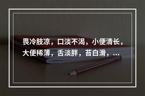 畏冷肢凉，口淡不渴，小便清长，大便稀薄，舌淡胖，苔白滑，脉沉