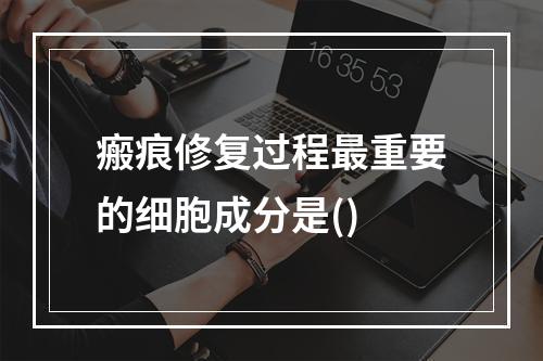 瘢痕修复过程最重要的细胞成分是()