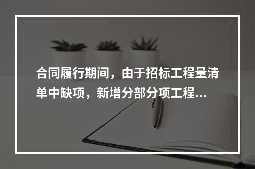 合同履行期间，由于招标工程量清单中缺项，新增分部分项工程清单