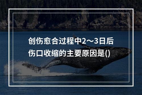 创伤愈合过程中2～3日后伤口收缩的主要原因是()