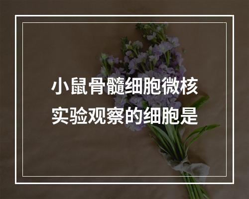 小鼠骨髓细胞微核实验观察的细胞是