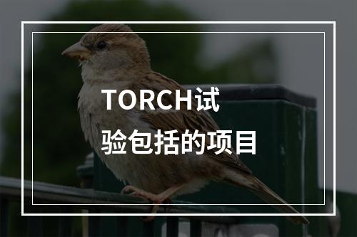 TORCH试验包括的项目