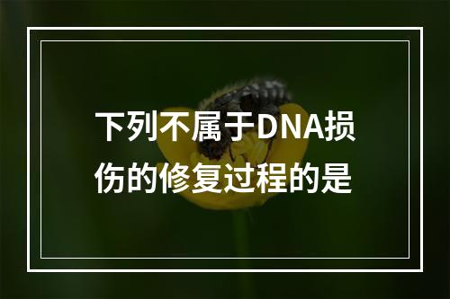 下列不属于DNA损伤的修复过程的是