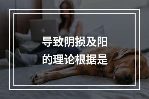 导致阴损及阳的理论根据是