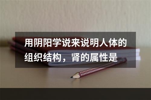 用阴阳学说来说明人体的组织结构，肾的属性是