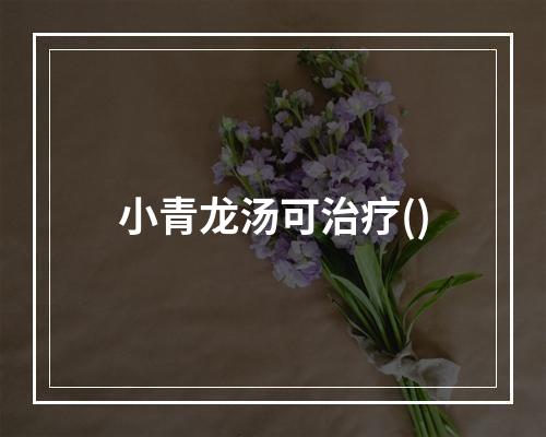 小青龙汤可治疗()