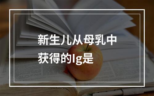 新生儿从母乳中获得的Ig是