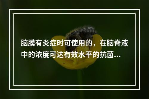 脑膜有炎症时可使用的，在脑脊液中的浓度可达有效水平的抗菌药物