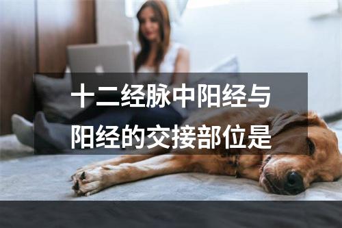 十二经脉中阳经与阳经的交接部位是