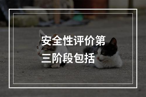 安全性评价第三阶段包括