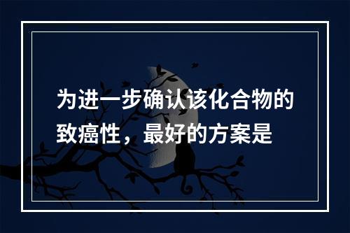 为进一步确认该化合物的致癌性，最好的方案是