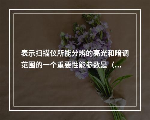 表示扫描仪所能分辨的亮光和暗调范围的一个重要性能参数是（）