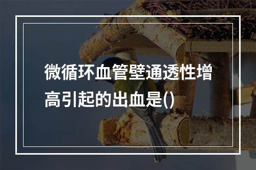 微循环血管壁通透性增高引起的出血是()