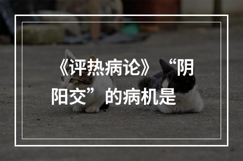 《评热病论》“阴阳交”的病机是