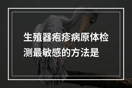 生殖器疱疹病原体检测最敏感的方法是