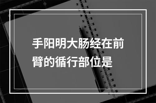 手阳明大肠经在前臂的循行部位是