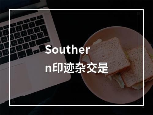 Southern印迹杂交是