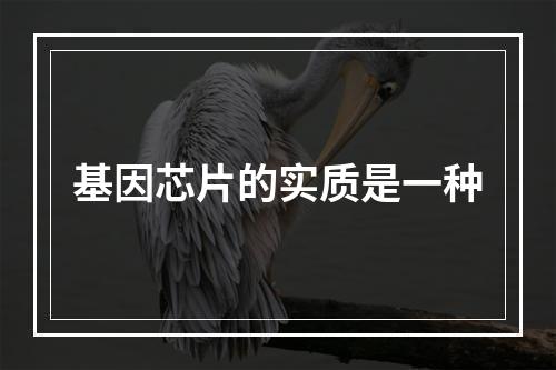 基因芯片的实质是一种