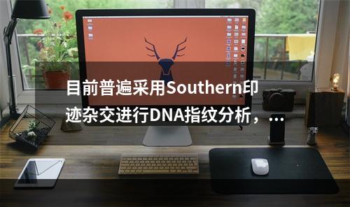 目前普遍采用Southern印迹杂交进行DNA指纹分析，用于