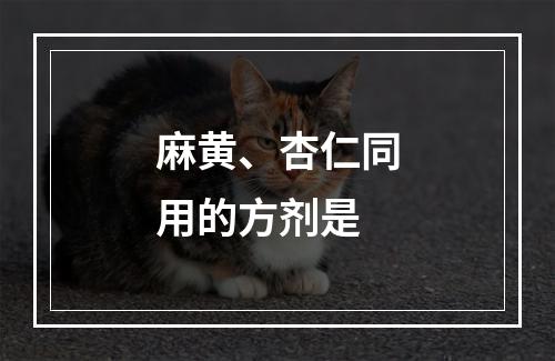 麻黄、杏仁同用的方剂是