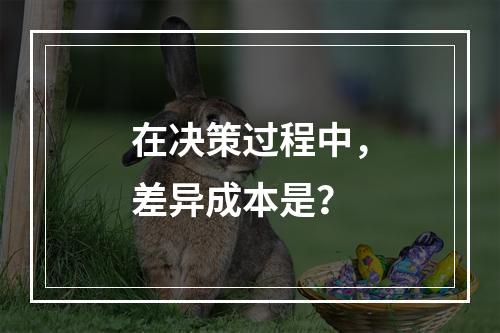 在决策过程中，差异成本是？