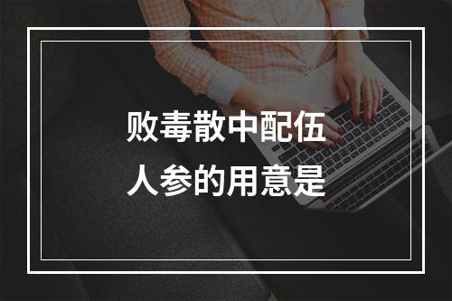 败毒散中配伍人参的用意是