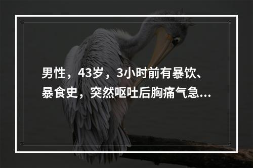 男性，43岁，3小时前有暴饮、暴食史，突然呕吐后胸痛气急，呼