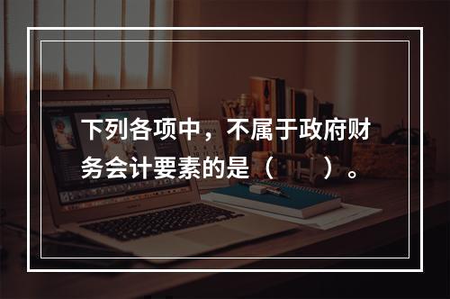 下列各项中，不属于政府财务会计要素的是（　　）。