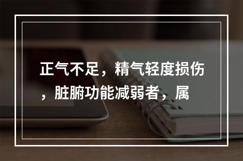 正气不足，精气轻度损伤，脏腑功能减弱者，属