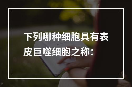 下列哪种细胞具有表皮巨噬细胞之称：