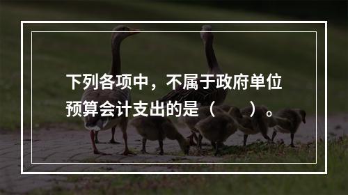 下列各项中，不属于政府单位预算会计支出的是（　　）。