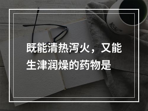 既能清热泻火，又能生津润燥的药物是