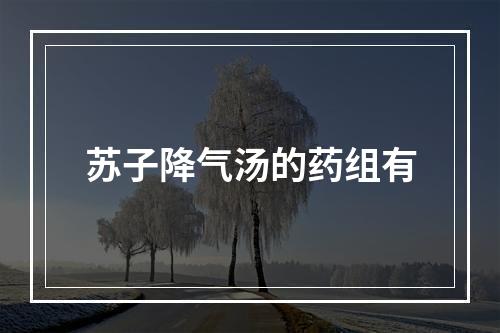 苏子降气汤的药组有