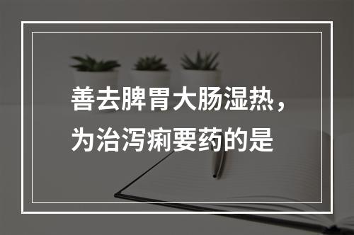 善去脾胃大肠湿热，为治泻痢要药的是