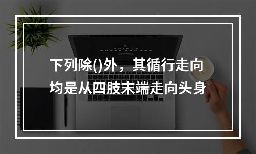 下列除()外，其循行走向均是从四肢末端走向头身