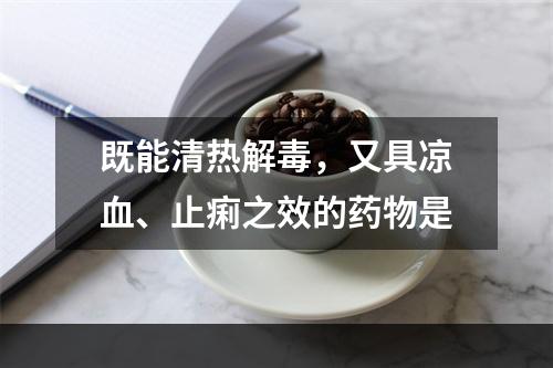 既能清热解毒，又具凉血、止痢之效的药物是