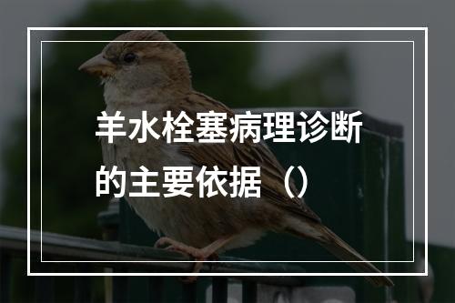 羊水栓塞病理诊断的主要依据（）