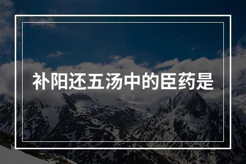 补阳还五汤中的臣药是