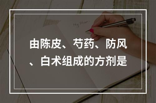 由陈皮、芍药、防风、白术组成的方剂是