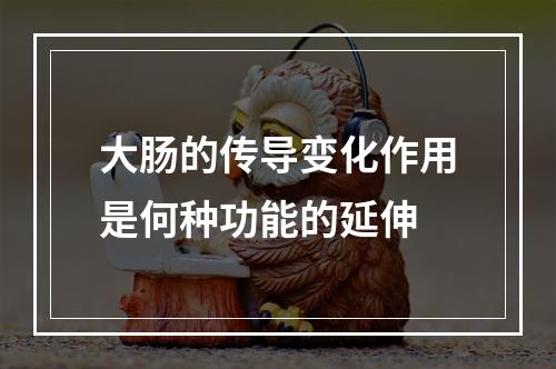 大肠的传导变化作用是何种功能的延伸