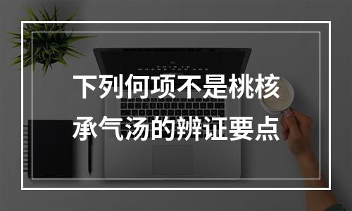 下列何项不是桃核承气汤的辨证要点