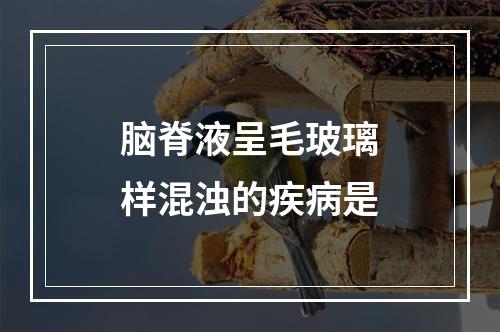 脑脊液呈毛玻璃样混浊的疾病是