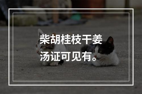 柴胡桂枝干姜汤证可见有。