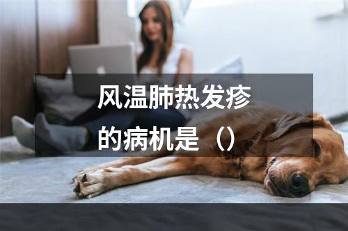 风温肺热发疹的病机是（）