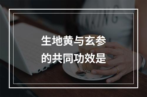 生地黄与玄参的共同功效是