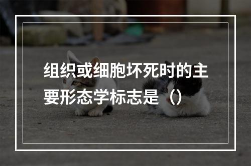 组织或细胞坏死时的主要形态学标志是（）